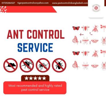 ANT CONTROL SERVICES