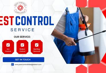 How to Choose Your Seattle Pest Control Company